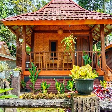 Pondok Rinjani Bungalow Tetebatu Eksteriør bilde