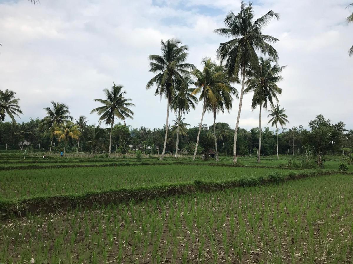 Pondok Rinjani Bungalow Tetebatu Eksteriør bilde