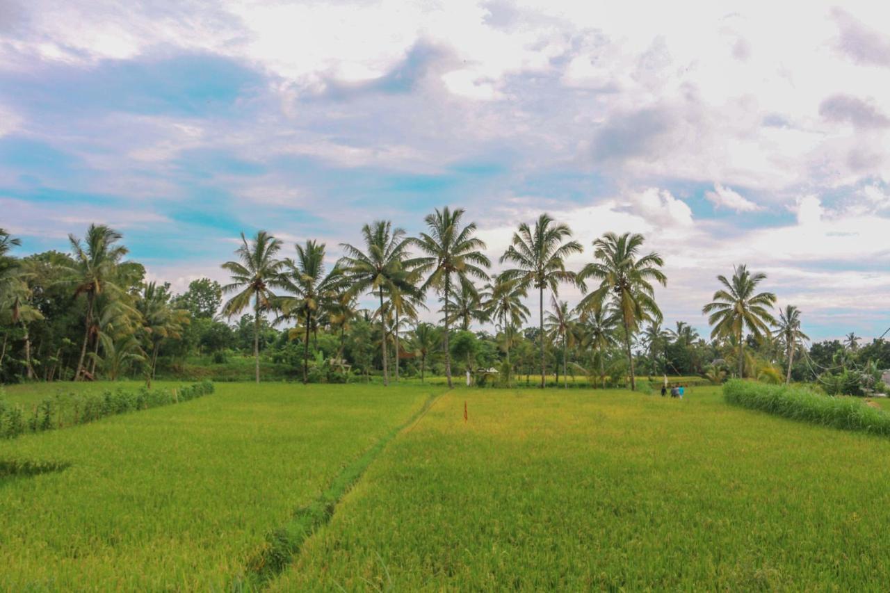 Pondok Rinjani Bungalow Tetebatu Eksteriør bilde